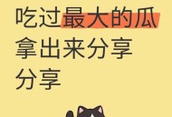 每人每年吃近百斤瓜,每人每年吃近百斤瓜子