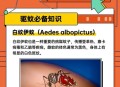 蚊子最爱的7类人,蚊子喜欢咬哪几种人？