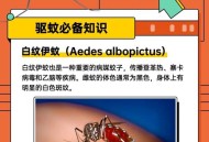 蚊子最爱的7类人,蚊子喜欢咬哪几种人？