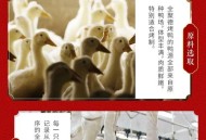 烤鸭为何20多元一只,一只20块钱的烤鸭有多少克？