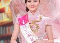 香港小姐14强高学历,2004年香港小姐季军叫什么？