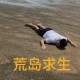 手机荒岛求生游戏攻略,手机版荒岛求生攻略全通关