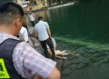 少年游泳馆触电身亡,游泳池伤害赔偿标准？
