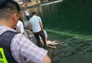 少年游泳馆触电身亡,游泳池伤害赔偿标准？