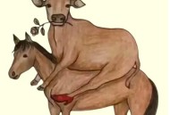 3个带马成语太给劲,带马的成语有哪些成语意思是好的？