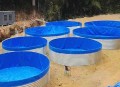 一地下室惊现大鱼池,地下室水池要不要排风井？