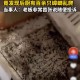 酒店早餐吃出蒸蟑螂,酒店早餐吃出蒸蟑螂怎么赔偿