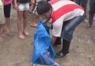 男童吃毒蘑菇去世,小孩吃毒蘑菇中毒视频