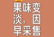这几种水果买就后悔,做水果生意后悔句子？
