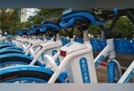单车突然被锁致摔伤,骑哈罗单车摔伤了有意外险吗？
