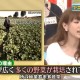 中国输美蔬菜卖日本,为什么日本人蔬菜匮乏？