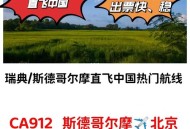 中国驻日本使馆提醒,中国飞瑞典的航班取消了吗？