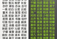 新年宝宝取名高兴,新年宝宝取名高兴怎么取