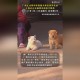 解除禁养中华田园犬,中华田园犬被列入禁养名单了吗？