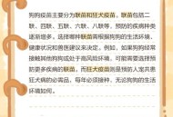 医院卖过期注射液,15年过期的柴胡注射液可以给狗狗吃吗？