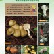 一家6口吃蘑菇中毒,所有蘑菇都有毒吗