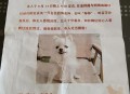 2岁女童失踪超10天,狗狗失踪两个月还能找回来吗？