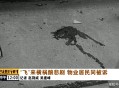 水泥杆倒下砸死女孩,楼房上的水泥片掉下来砸到车怎么解决？