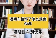 酒驾躲交警跳河身亡,启东市：遇检查弃宝马车跳河，司机狼狈不堪只因无证酒驾, 你怎么看？