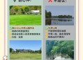 露营遇山洪抱树7h,山洪.泥石流高发期在山区露营怎么办？
