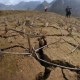 河南遭40年难遇干旱,2023年秋季河南会干旱吗？