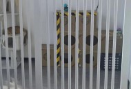 物业称将捕杀流浪猫,物业有权利捕杀流浪猫吗？