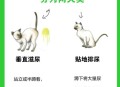 男孩尿到女生衣服上,衣物被猫咪尿上了怎么办？