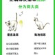 男孩尿到女生衣服上,衣物被猫咪尿上了怎么办？