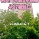 35层坠楼奇迹生还,人30米的高楼掉下来几秒？