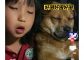暑假作业被狗撕碎 ,狗撕了暑假作业小孩哭的图片