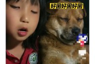 暑假作业被狗撕碎 ,狗撕了暑假作业小孩哭的图片