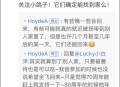 和平鸽是咋找回家的,北京和平鸽怎么来的？