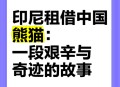 日本希望再租借熊猫,日本希望再租借熊猫了吗