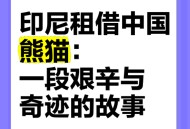日本希望再租借熊猫,日本希望再租借熊猫了吗