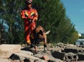 搜救犬2天2夜没吃饭,搜救犬训练与管理教程？