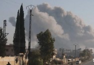 八国发表联合声明,八国发表联合声明,呼吁政治解决叙利亚问题