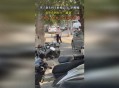 男子街头遛猪引围观,公园能不能遛猪？