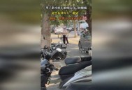 男子街头遛猪引围观,公园能不能遛猪？