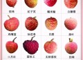 空腹吃荔枝得荔枝病,20个月宝宝可以吃荔枝吗？
