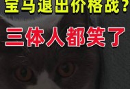 价格战打到了电影圈,价格战的结局