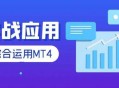 mt4ea软件教程,mt4平台操作入门视频