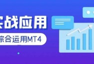 mt4ea软件教程,mt4平台操作入门视频