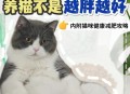肥猫一年多减重16斤,猫没有肉能活多久？