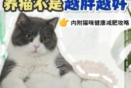 肥猫一年多减重16斤,猫没有肉能活多久？