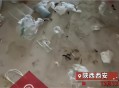 00后女生陪父亲掏粪,00后女生陪父亲掏粪视频