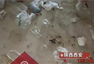 00后女生陪父亲掏粪,00后女生陪父亲掏粪视频