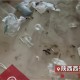 00后女生陪父亲掏粪,00后女生陪父亲掏粪视频