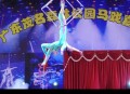 杂技演员表演中摔落,一地落叶形容什么心情？
