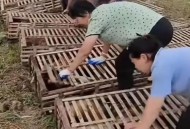 疑有人在水库放生猫,疑有人在水库放生猫怎么办