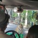 摸老虎屁股遭扑咬,摸老虎屁股遭扑咬视频